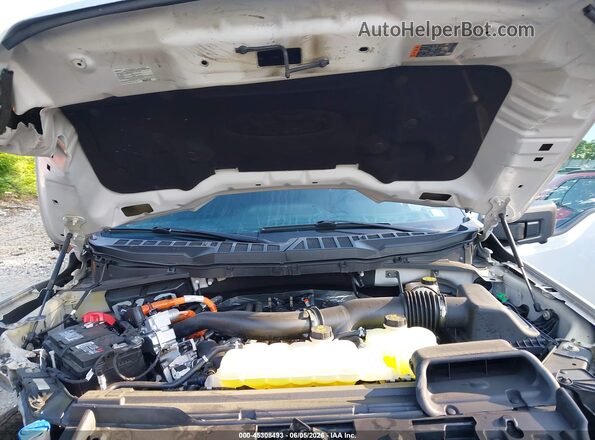 1FTFW3LD0RFB76405 2024 FORD F150 Gray უკანა ხედი