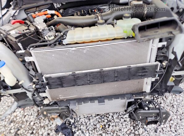 1FTFW3LD0RFB82611 2024 FORD F150 White Rear interior view