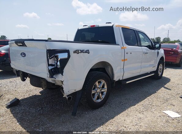 1FTFW3LD1RFA54717 2024 FORD F150 White Rear right