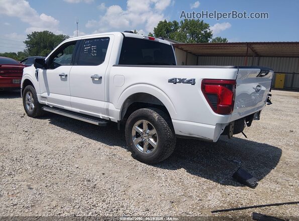 1FTFW3LD1RFA54717 2024 FORD F150 White Rear left