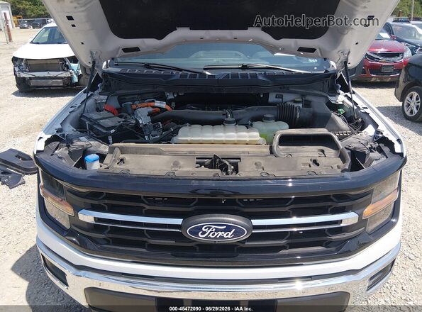 1FTFW3LD1RFA54717 2024 FORD F150 White Rear view