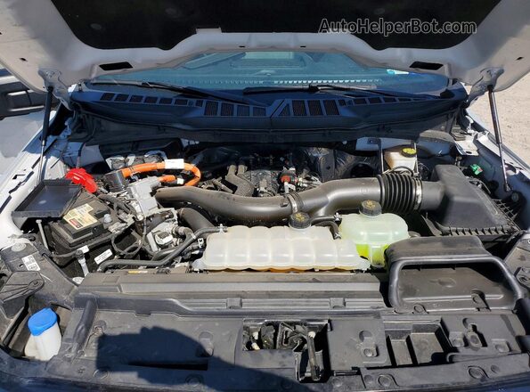 1FTFW3LD1RFB38374 2024 FORD F150 Gray Widok wnętrza z tyłu
