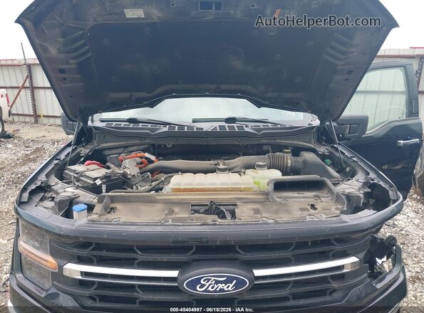 1FTFW3LD2RFA72580 2024 FORD F150 Black Rear view