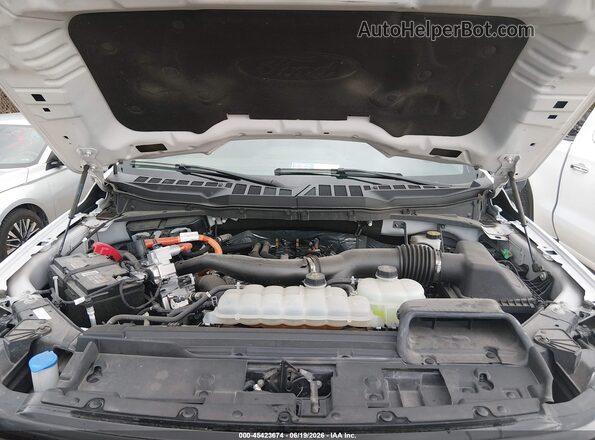 1FTFW3LD3RFA27616 2024 FORD F150 Белый Вид сзади