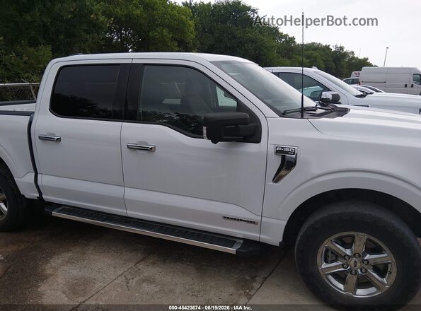1FTFW3LD3RFA27616 2024 FORD F150 Белый Вид задней части салона
