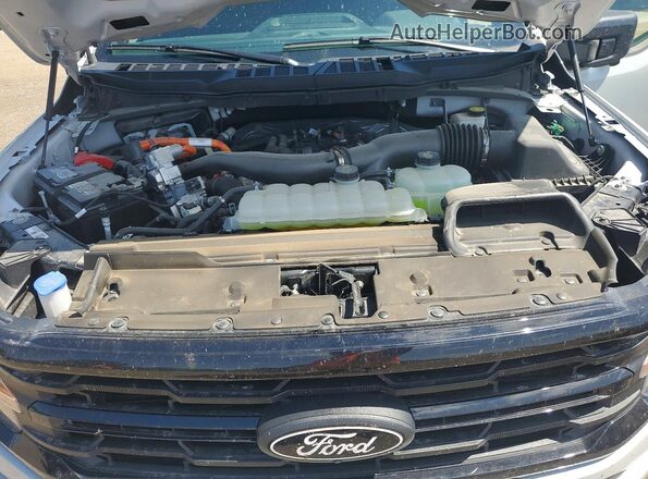1FTFW3LD5RFA94315 2024 FORD F150 Silver 