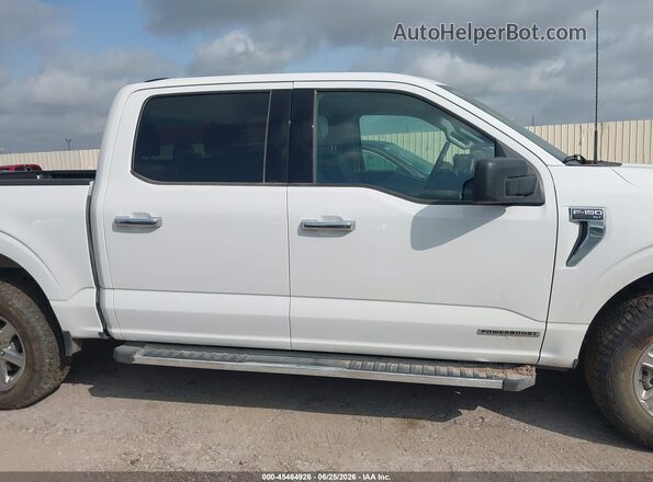 1FTFW3LD5SFB00944 2025 FORD F150 Белый Вид задней части салона