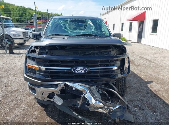 1FTFW3LD6RFA06548 2024 FORD F150 Gray Սալոնի հետևի տեսք