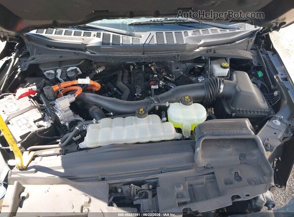 1FTFW3LD6RFA06548 2024 FORD F150 Gray Հետևի տեսք