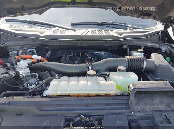1FTFW3LD6RFB98182 2024 FORD F150 Black Հետևի տեսք