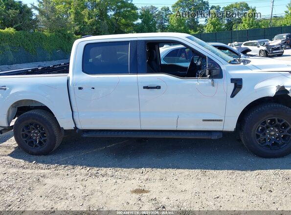 1FTFW3LD6SFB43494 2025 FORD F150 White Widok wnętrza z tyłu