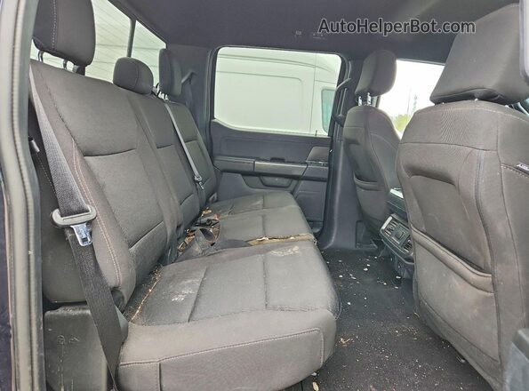 1FTFW3LD8RFA78674 2024 FORD F150 Blue Rear seats view