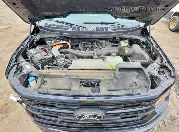 1FTFW3LD8RFA78674 2024 FORD F150 Blue Rear interior view