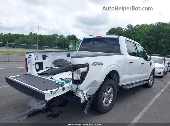 1FTFW3LD8SFA47253 2025 FORD F150 White Tył prawy