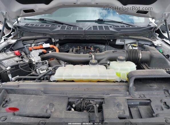 1FTFW3LD8SFA47253 2025 FORD F150 White Widok z tyłu
