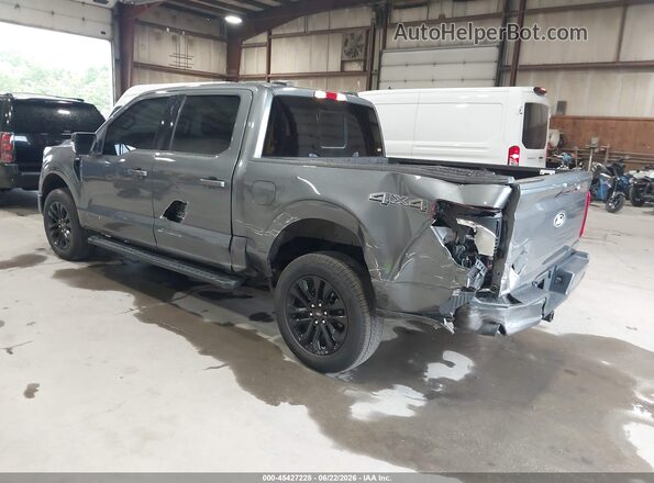 1FTFW3LD8SFA92872 2025 FORD F150 Серый Задняя левая четверть