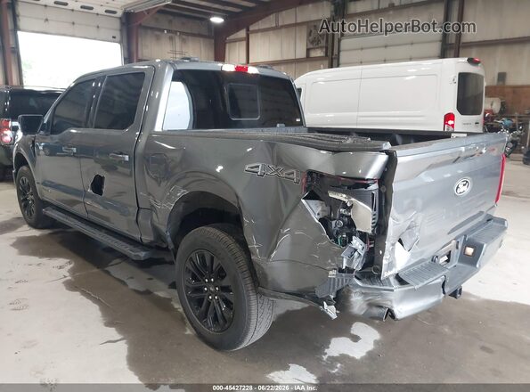 1FTFW3LD8SFA92872 2025 FORD F150 Серый Вид спереди