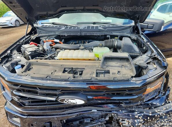 1FTFW3LD9RFA42962 2024 FORD F150 Синий Вид задней части салона