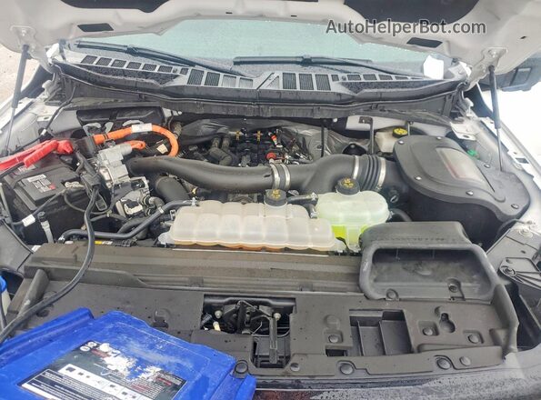 1FTFW3LD9RFA62225 2024 FORD F150 White Rear interior view