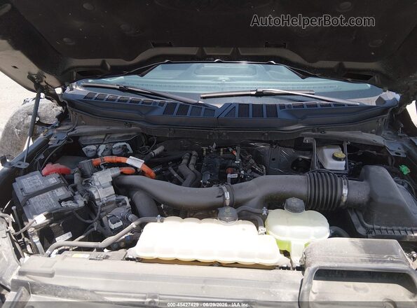 1FTFW3LD9SFA94923 2025 FORD F150 Gray უკანა ხედი