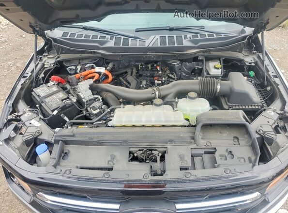 1FTFW3LD9SFB00462 2025 FORD F150 Серый Вид задней части салона