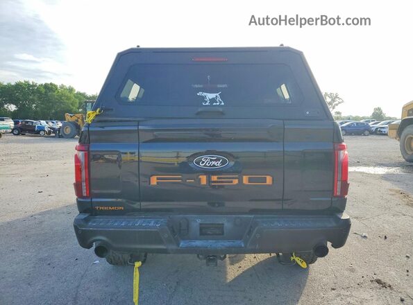 1FTFW4L57SFB72839 2025 FORD F150 Black Rear view