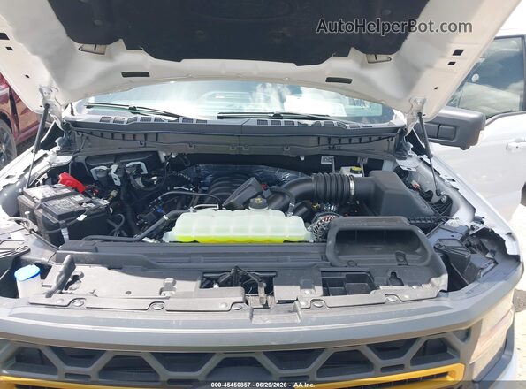 1FTFW4L5XSFB72477 2025 FORD F150 Gray Widok z tyłu