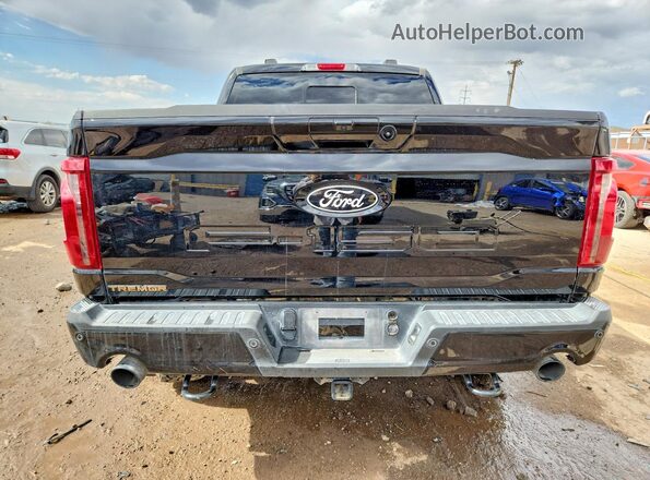 1FTFW4L5XSFC06823 2025 FORD F150 Black Հետևի տեսք