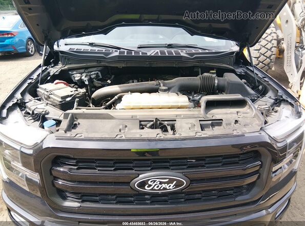 1FTFW5L82RFB78803 2024 FORD F150 Blue Widok z tyłu