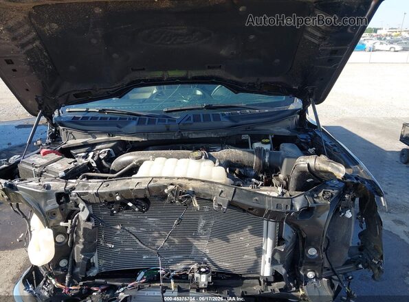 1FTFW5L85RFB04484 2024 FORD F150 Black უკანა ხედი