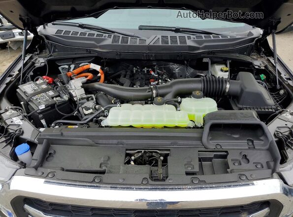 1FTFW5LDXSFB81273 2025 FORD F150 Blue Սալոնի հետևի տեսք
