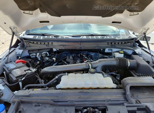 1FTFW6L88RFA79571 2024 FORD F150 White Սալոնի հետևի տեսք