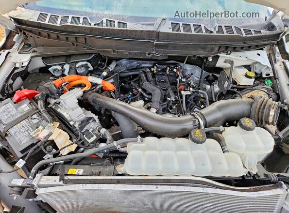 1FTFW6LD0SFB54699 2025 FORD F150 White 