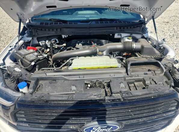 1FTFW7L83TFA69169 2026 FORD F150 White Вид задньої частини салону