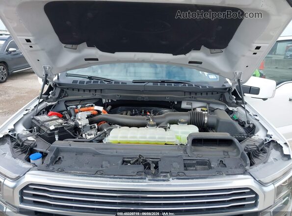 1FTFW7LD6SFB98261 2025 FORD F150 White Rear view