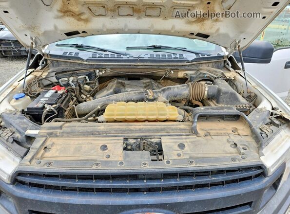 1FTFX1E41LKE65449 2020 FORD F150 White Սալոնի հետևի տեսք