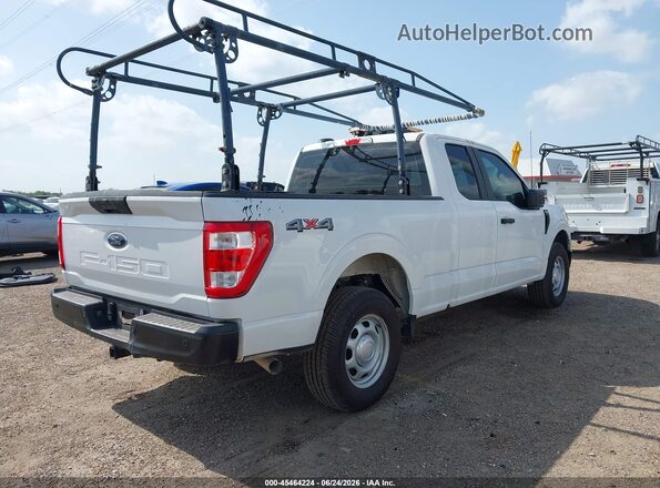 1FTFX1E51PKF35711 2023 FORD F150 White Հետևի աջ