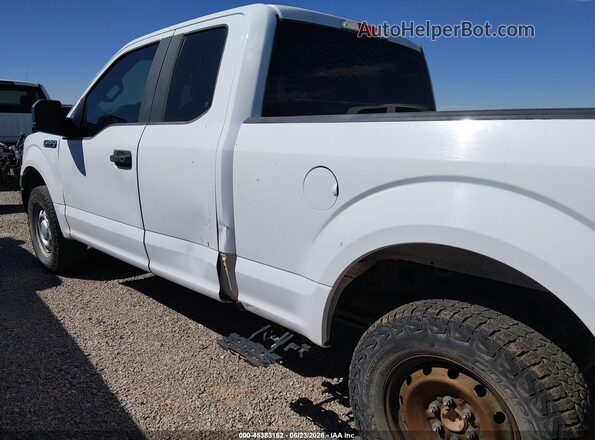 1FTFX1E55LKD79165 2020 FORD F150 White წინა ხედი