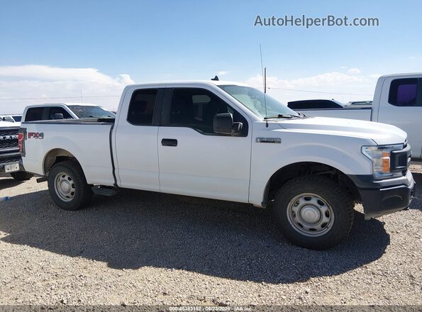 1FTFX1E55LKD79165 2020 FORD F150 White უკანა სალონის ხედი