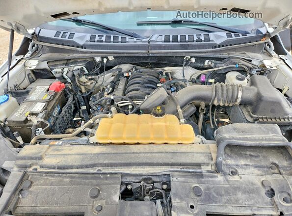 1FTFX1E58KKD18665 2019 FORD F150 White Սալոնի հետևի տեսք