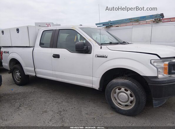 1FTFX1E59KKC53650 2019 FORD F150 White Սալոնի հետևի տեսք
