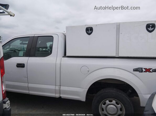 1FTFX1E59KKC53650 2019 FORD F150 White Սալոնի 360 աստիճան տեսք
