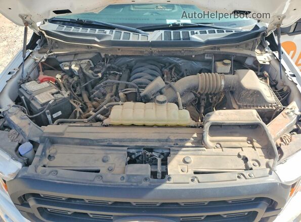 1FTFX1E59MFB03307 2021 FORD F150 Белый Вид задней части салона