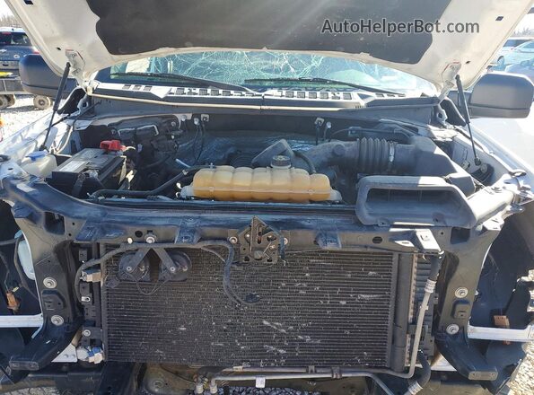 1FTFX1EF3GFC16036 2016 FORD F150 White Սալոնի հետևի տեսք