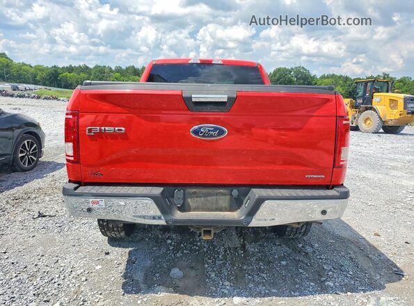 1FTFX1EF3GFD11762 2016 FORD F150 Red Rear view