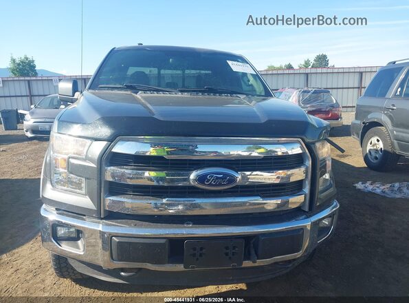 1FTFX1EG1GKD68459 2016 FORD F150 Gray Rear interior view