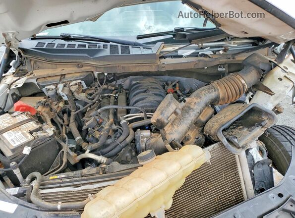1FTMF1C50PKG09505 2023 FORD F150 White Սալոնի հետևի տեսք