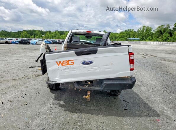 1FTMF1C50PKG09505 2023 FORD F150 White Հետևի տեսք
