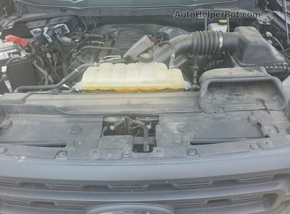 1FTMF1C55PKF71253 2023 FORD F150 Black Սալոնի հետևի տեսք