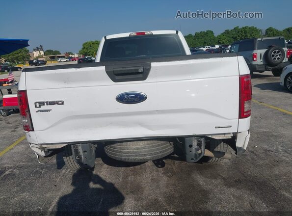 1FTMF1C85GKD13664 2016 FORD F150 White 